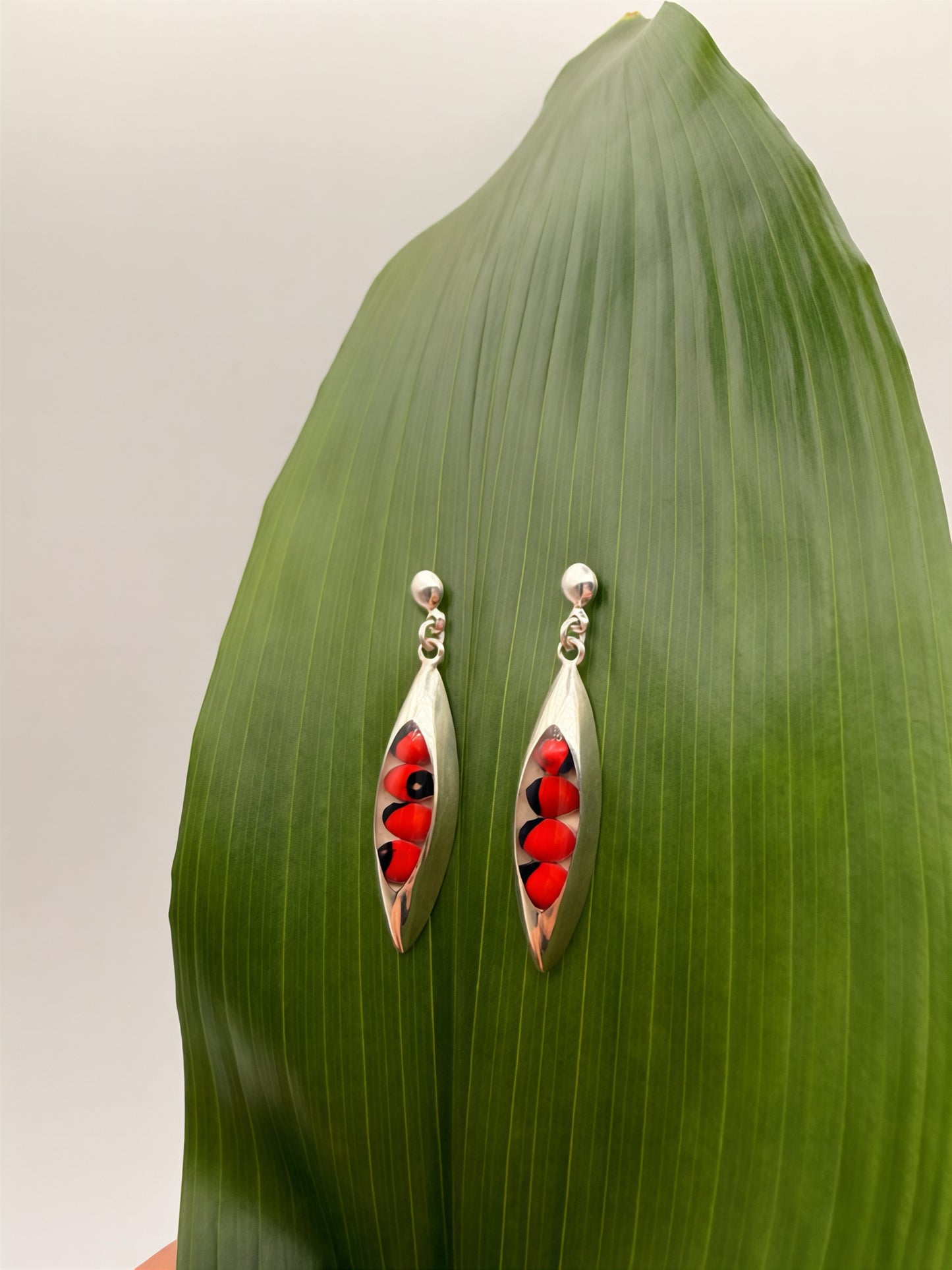 Huayruro Seed Oval Earrings