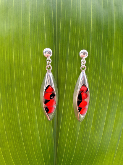 Huayruro Seed Oval Earrings