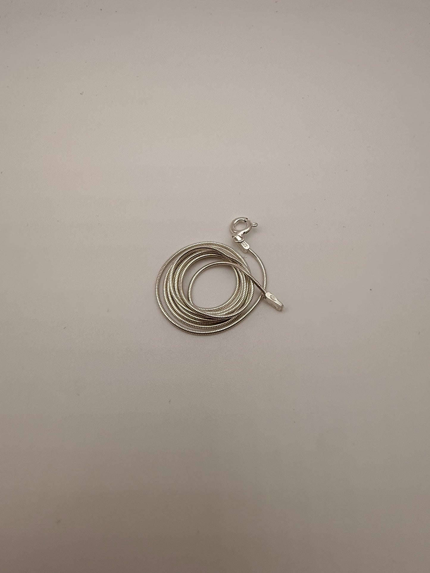 Snake Chain Necklace